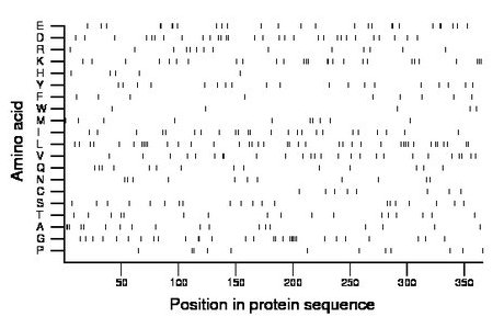 amino acid map