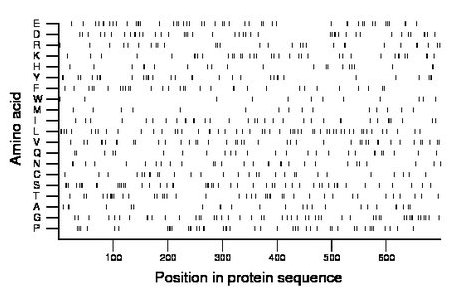 amino acid map