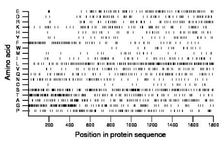 amino acid map