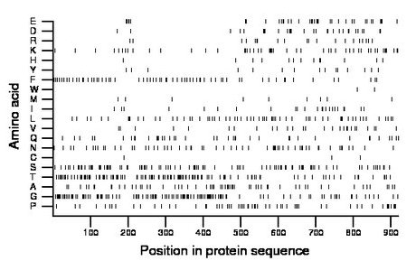 amino acid map