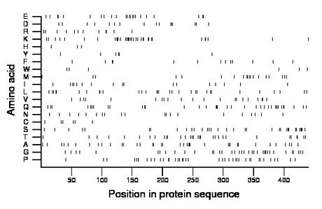 amino acid map