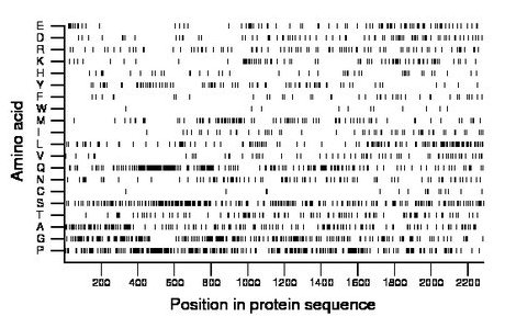 amino acid map