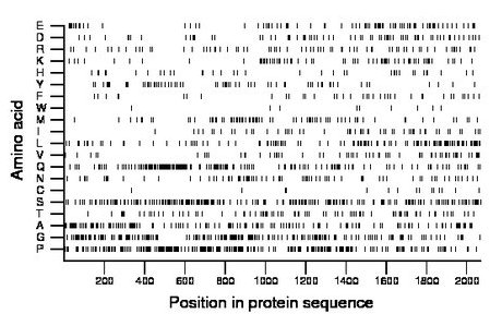 amino acid map