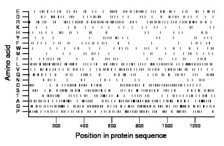 amino acid map