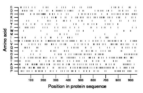 amino acid map