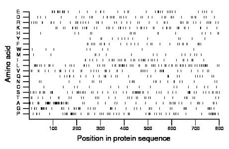 amino acid map