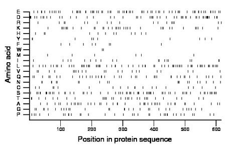 amino acid map