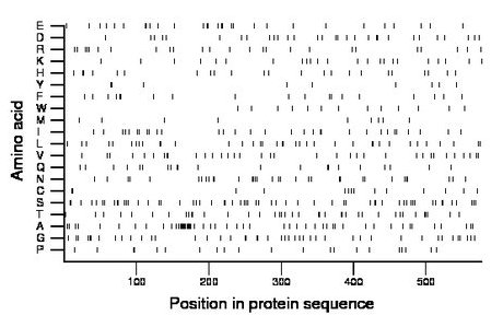 amino acid map