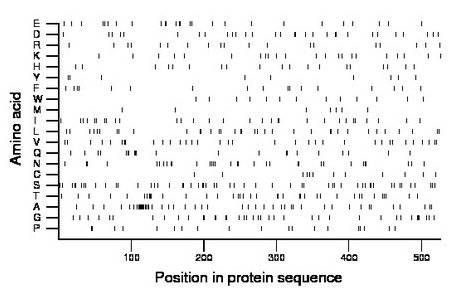 amino acid map