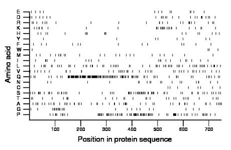 amino acid map