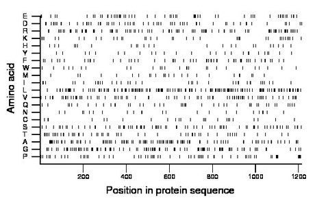 amino acid map