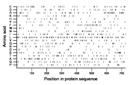 amino acid map