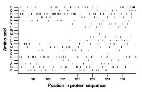 amino acid map