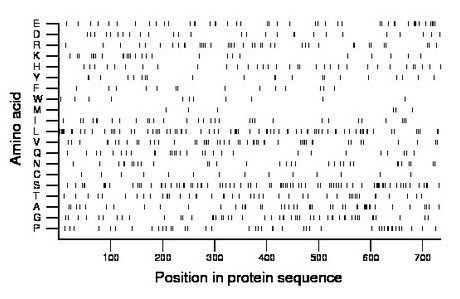 amino acid map