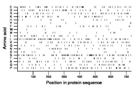 amino acid map