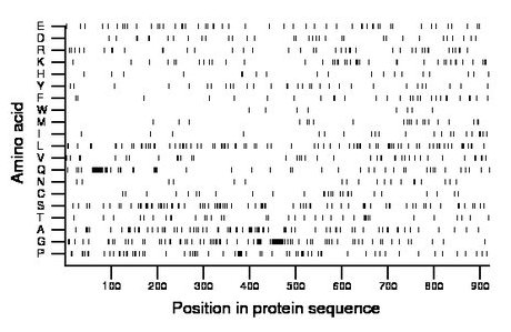 amino acid map