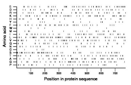 amino acid map