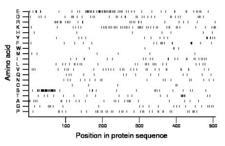 amino acid map