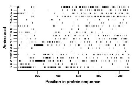 amino acid map