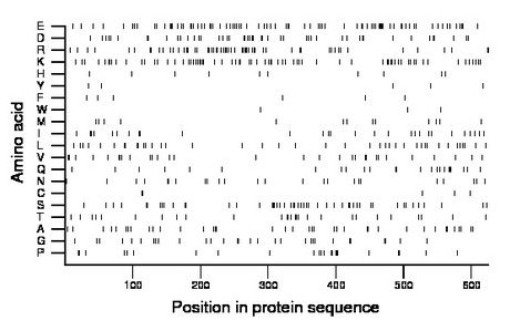 amino acid map