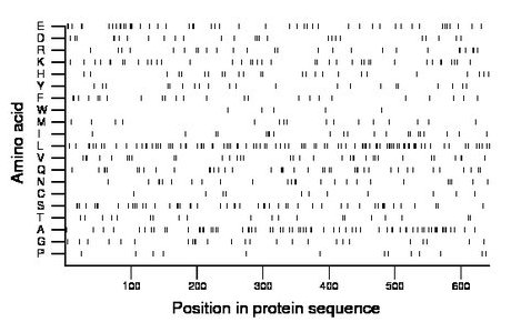 amino acid map