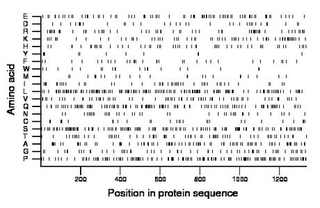 amino acid map