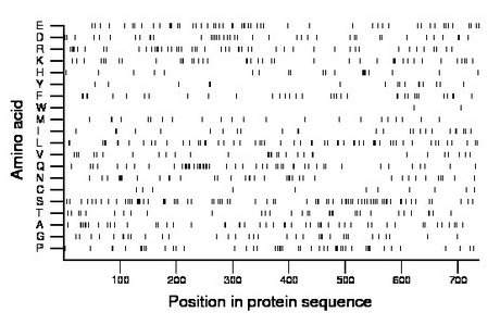 amino acid map