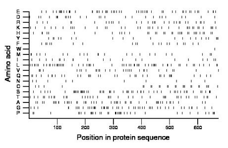 amino acid map