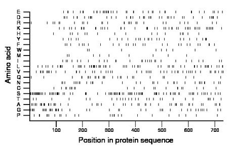 amino acid map