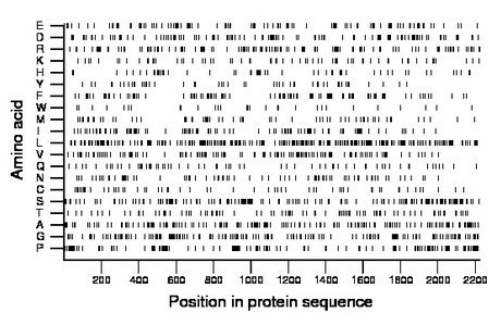 amino acid map