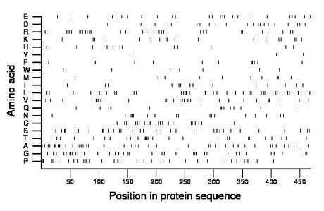 amino acid map