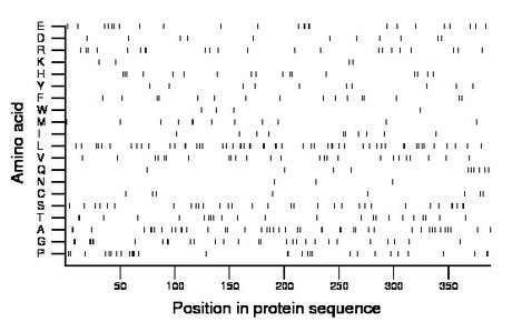 amino acid map