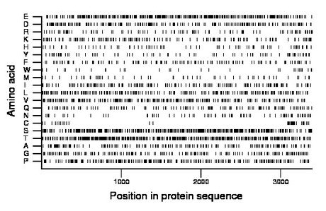 amino acid map