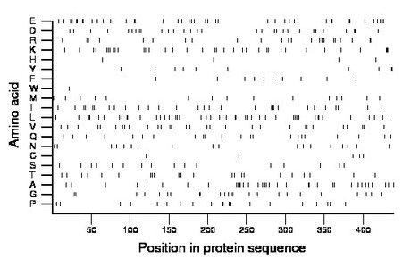 amino acid map