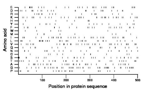 amino acid map