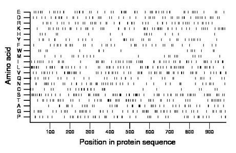 amino acid map