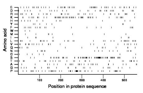 amino acid map