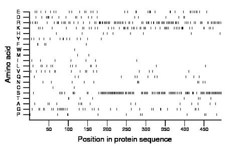 amino acid map