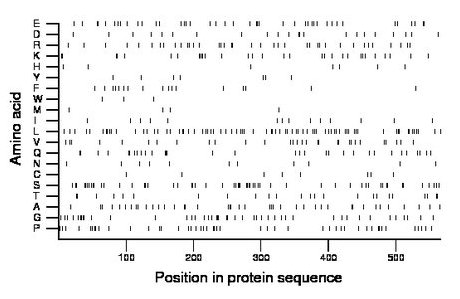 amino acid map