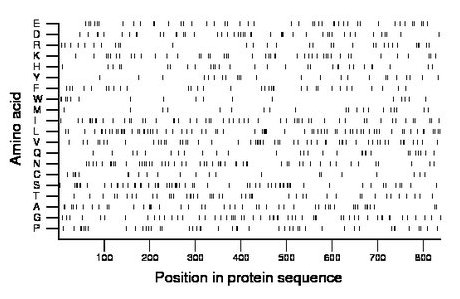 amino acid map