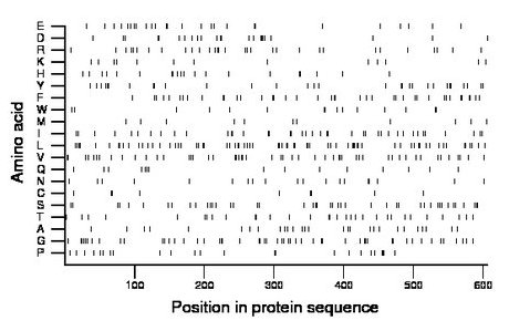 amino acid map