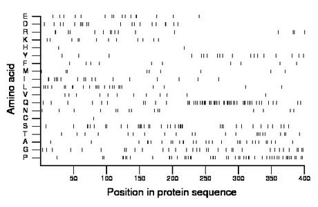 amino acid map