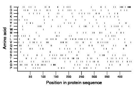 amino acid map