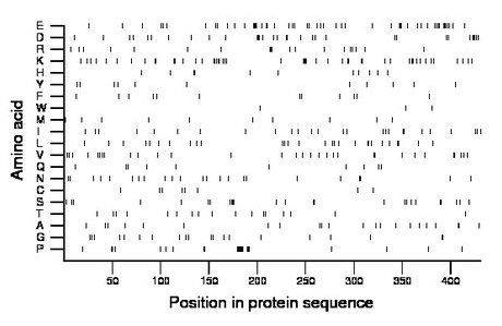 amino acid map