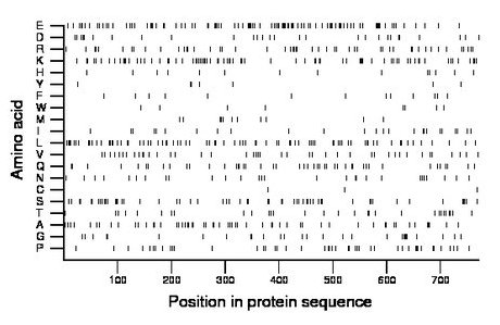 amino acid map