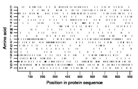 amino acid map