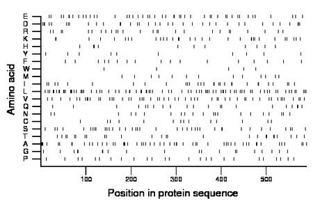 amino acid map