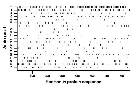 amino acid map