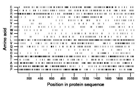 amino acid map