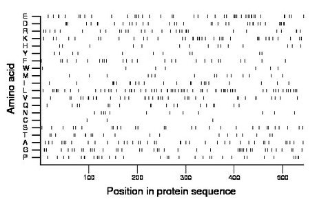 amino acid map